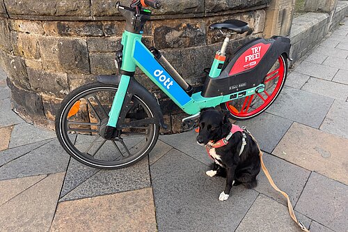 Dott bike with Crumble the dog sat beside